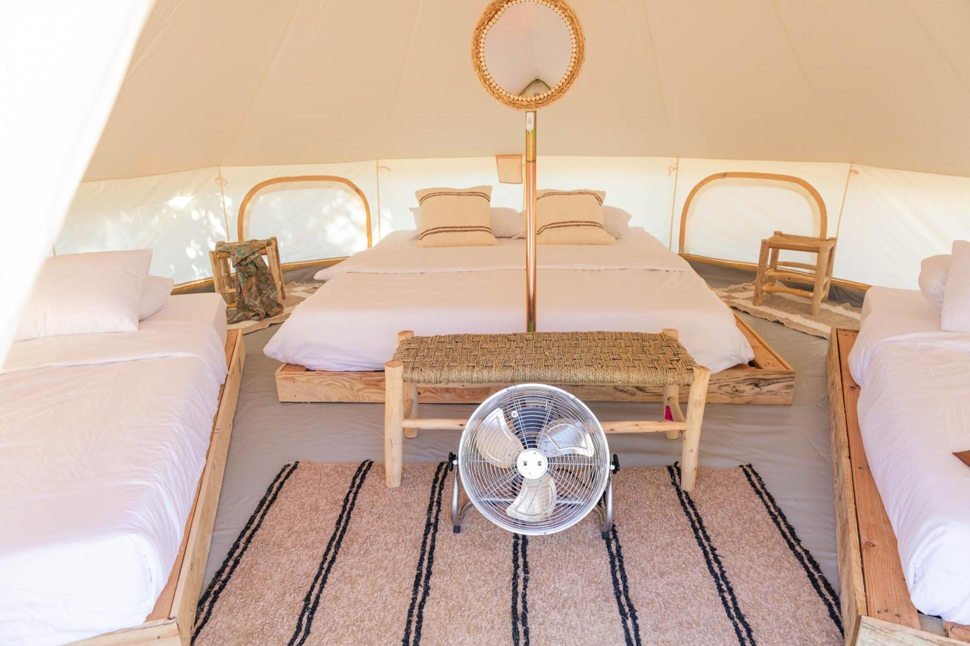 Holacamp אלבופיירה מראה חיצוני תמונה