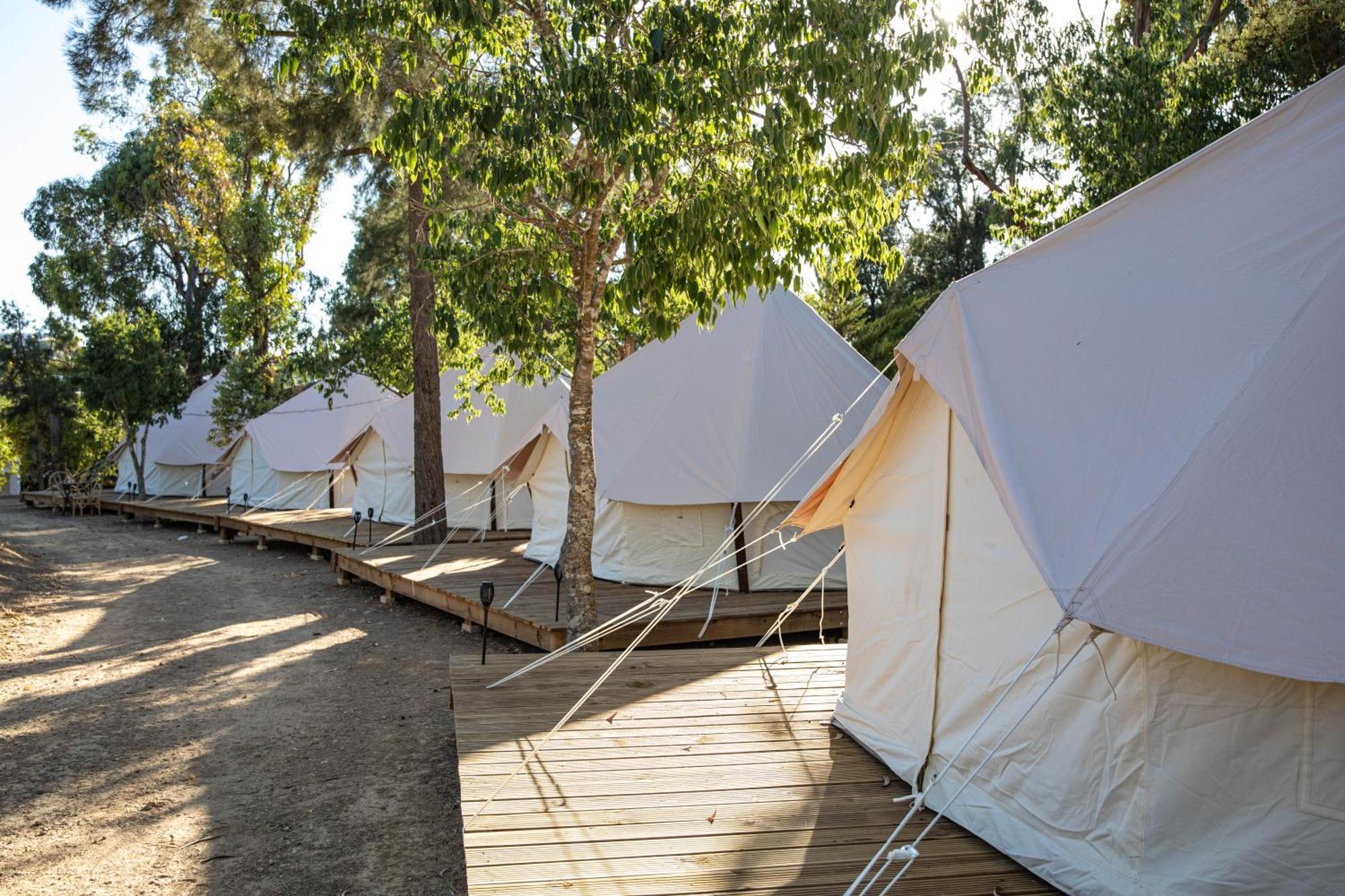 Holacamp אלבופיירה מראה חיצוני תמונה