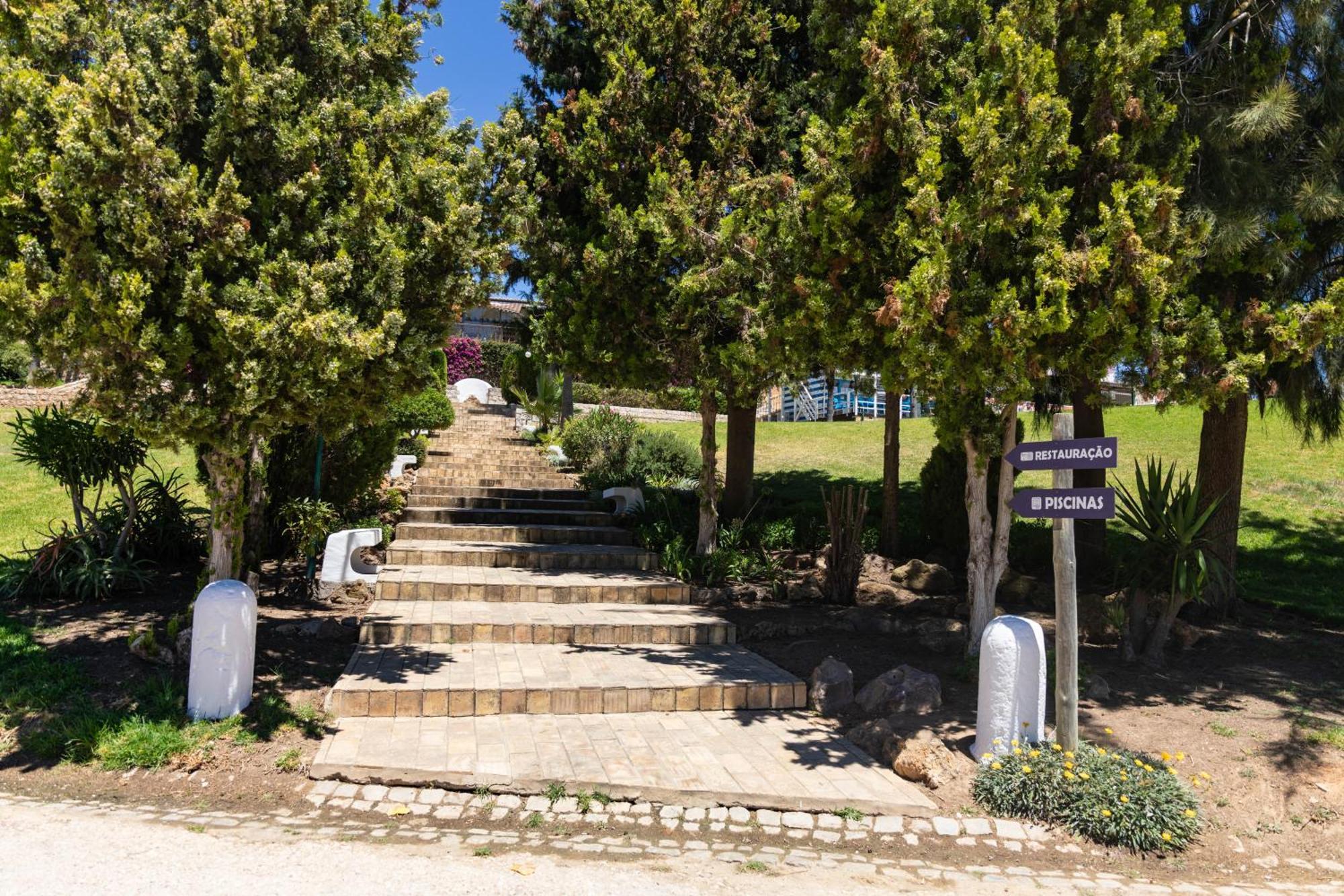Holacamp אלבופיירה מראה חיצוני תמונה