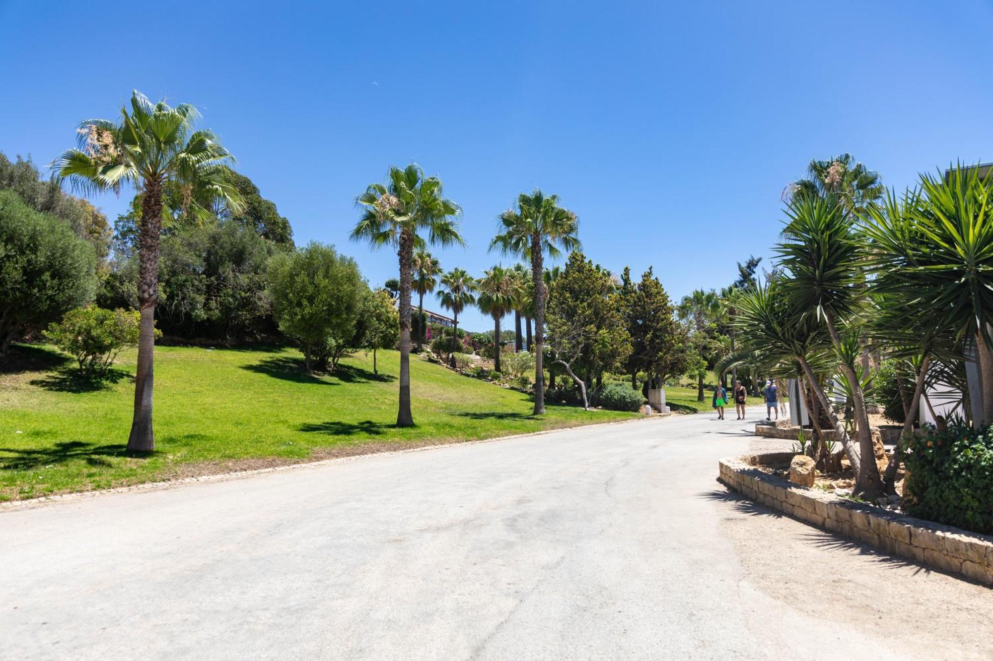 Holacamp אלבופיירה מראה חיצוני תמונה