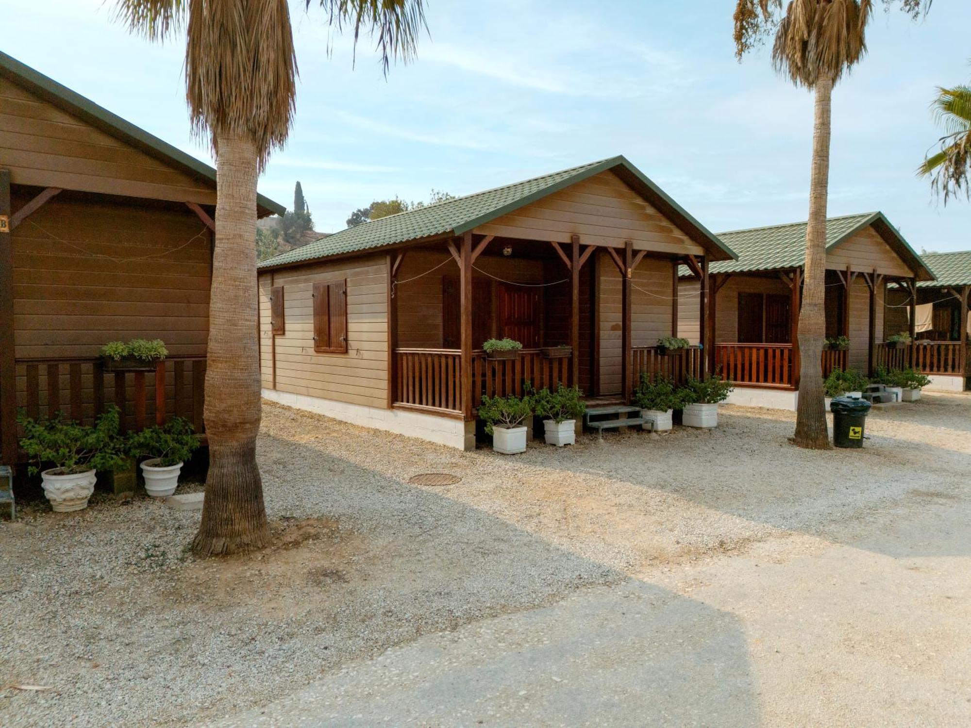 Holacamp אלבופיירה מראה חיצוני תמונה